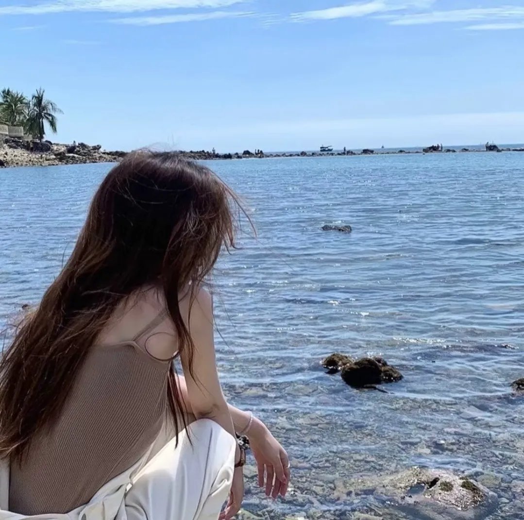 桃太郎的海鹰